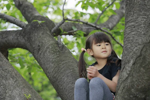 Japanese Girl Climbing Tree Years Old — Stock Photo, Image