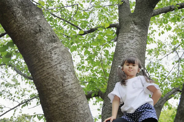 Niña Japonesa Trepando Árbol Años — Foto de Stock