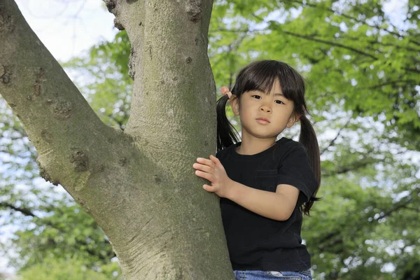 Niña Japonesa Trepando Árbol Años — Foto de Stock