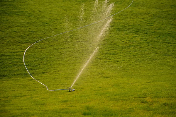 Mooi Groen Gemaaid Gazon Wordt Gedrenkt Een Park — Stockfoto