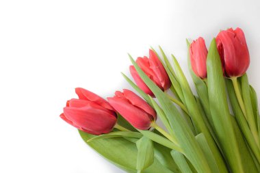 Beyaz arka planda beş kırmızı laleden oluşan buket, alt manzaralı.