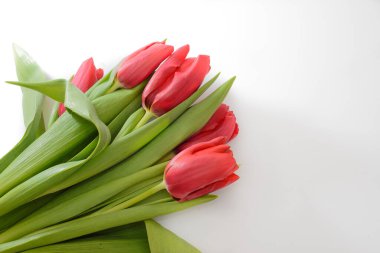 Beyaz arka planda beş kırmızı laleden oluşan buket, alt manzaralı.