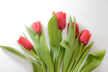 Beyaz arka planda beş kırmızı laleden oluşan buket, alt manzaralı.