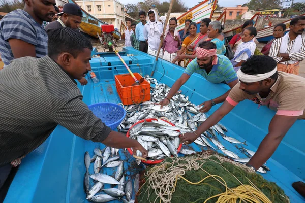 正体不明の漁師が魚を販売します。 — ストック写真