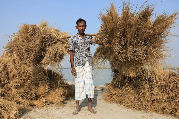 Agricultor de los personajes en Bogra, Bangladesh — Foto de Stock