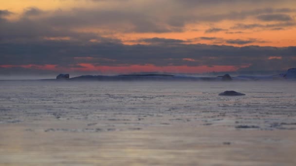 Coucher de soleil coloré au bord de la mer Baltique glacée et glacée sur -15C celsius soirée de janvier à Helsinki, Finlande . — Video