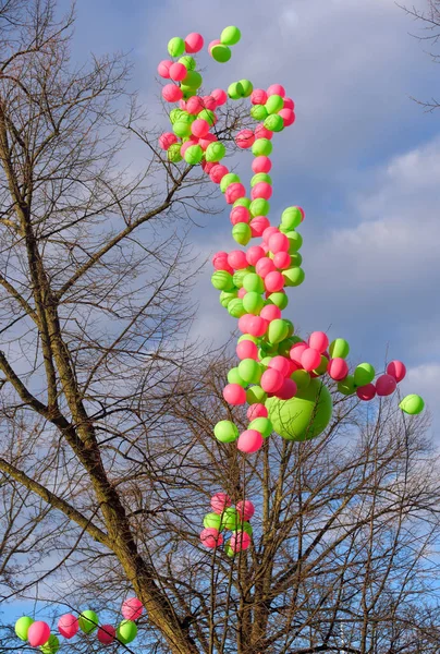 Bright pink and green balloons in a tree as 1st of May decoration at Esplanadi Park in Helsinki, Finland