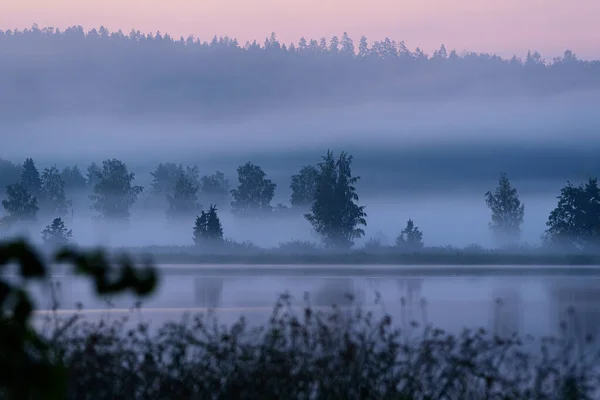 Neblige Sommerlandschaft See Finnland Nach Sonnenuntergang — Stockfoto