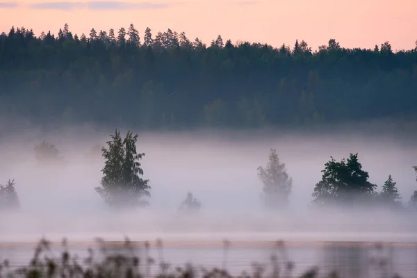 Foggy Summer Landscape Lake Finland Sunset — Stock Photo, Image