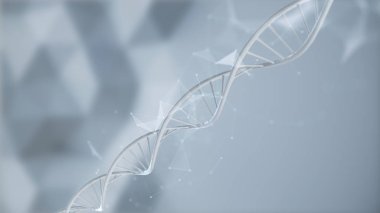 soyut Dna molekülünün döngü