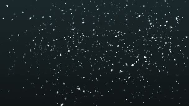 De sparkles op zwart. Loop de animatie. Sneeuwvlokken . — Stockvideo