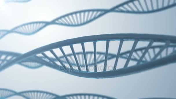 Molécula de ADN abstracta Loop — Vídeos de Stock