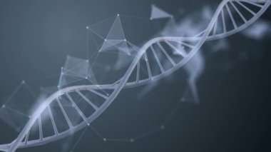 soyut Dna molekülünün döngü