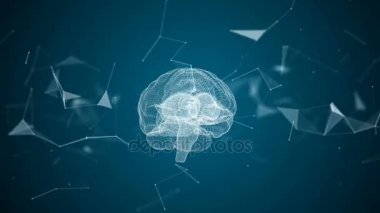 İnsan beyni parçacıklar iplik tarafından oluşturulmuş.