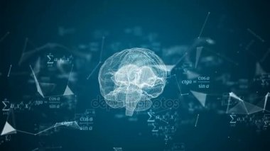 İnsan beyni parçacıklar iplik tarafından oluşturulmuş.