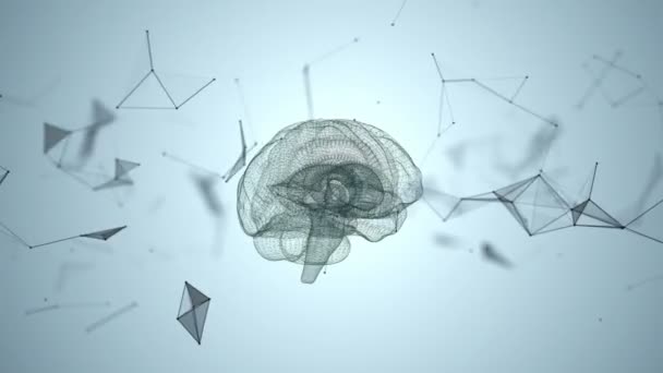 Lidský mozek je tvořena předení částice. — Stock video