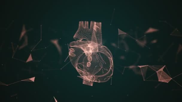 The human heart is formed by spinning particles. — Stock Video