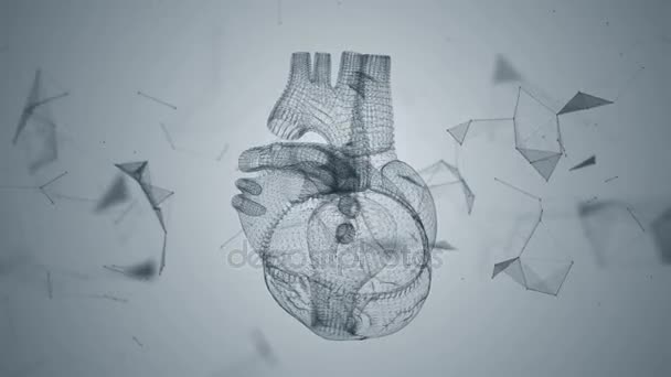 Il cuore umano è formato da particelle che girano . — Video Stock