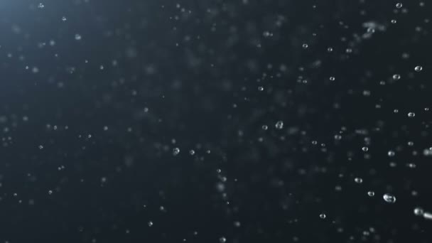 Падающие капли дождя . — стоковое видео