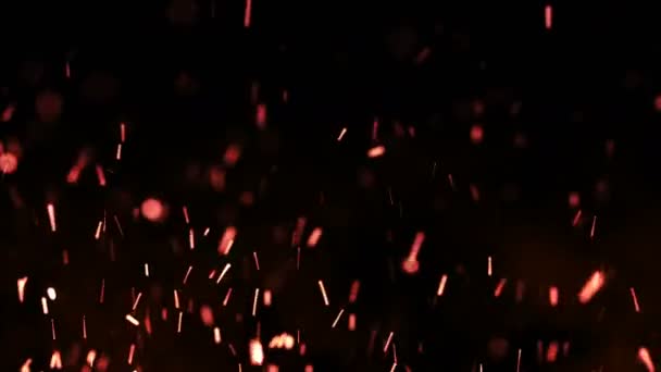Api yang indah percikan di malam hari, latar belakang gelap. Animasi loop . — Stok Video