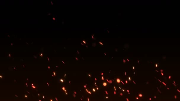 아름 다운 불 밤, 어두운 배경에서 불꽃. 루프 애니메이션. — 비디오