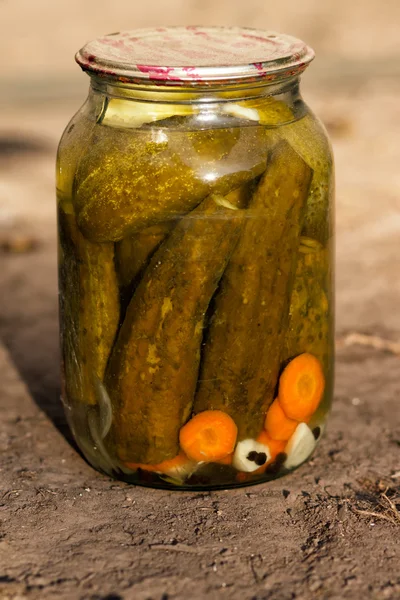新鲜和腌渍黄瓜，自制腌制蔬菜 — 图库照片