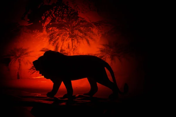 사자는 아프리카 석양에 대 한의 실루엣 — 스톡 사진
