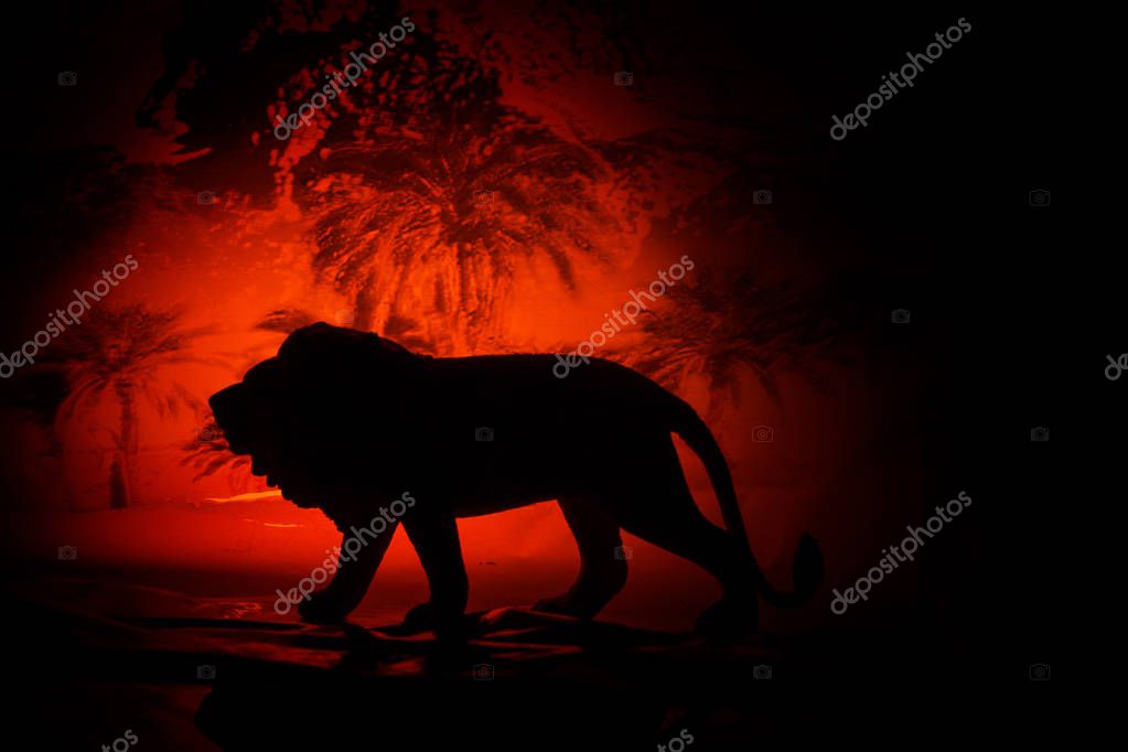 Silhouette Dun Lion Contre Le Coucher De Soleil Africain