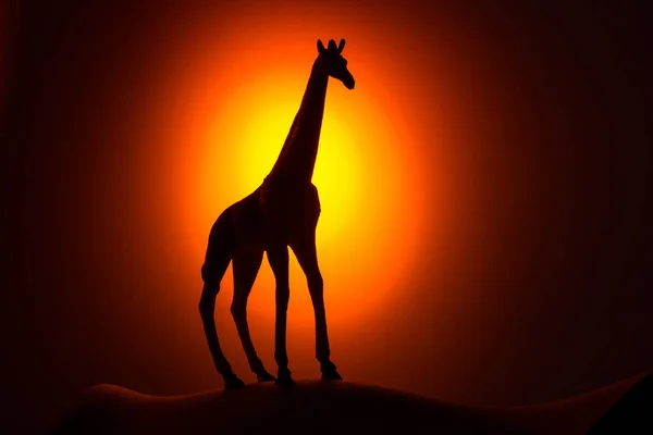 Giraffe Silhouette at Sunrise — Stock Photo, Image
