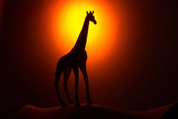 Giraffe Silhouette at Sunrise