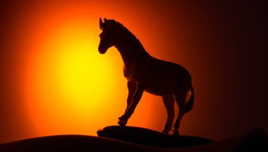 Bir zebra siluetleri