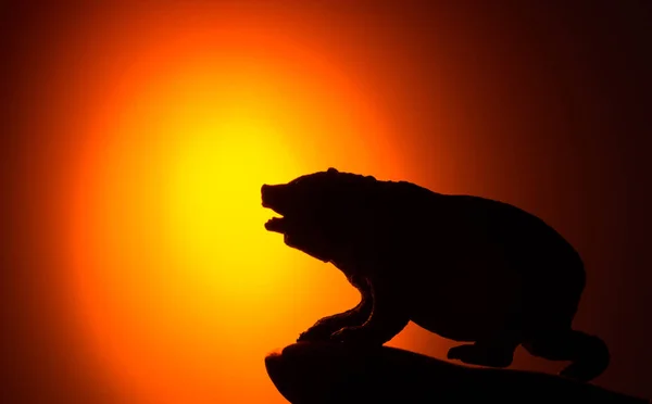 Björn silhouette f solnedgången — Stockfoto