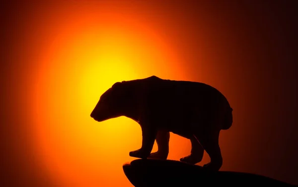 Bear silhouette f the sunset — Stock Photo, Image