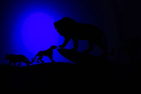 Silhouette de lion africain mâle et femelle — Photo