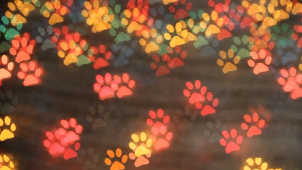 Cane piede bokeh luce come sfondo. Bokeh colorato . — Video Stock