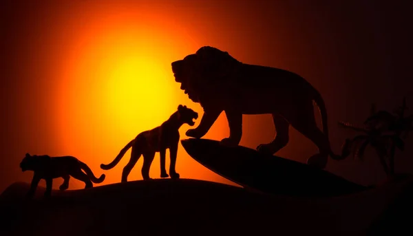 Silhouette de lion africain mâle et femelle — Photo