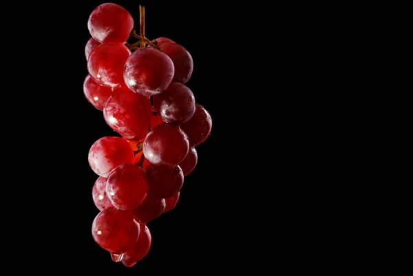红酒流从一串葡萄 — 图库照片