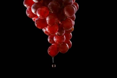 Kırmızı şarap akışı bir kümeye üzüm