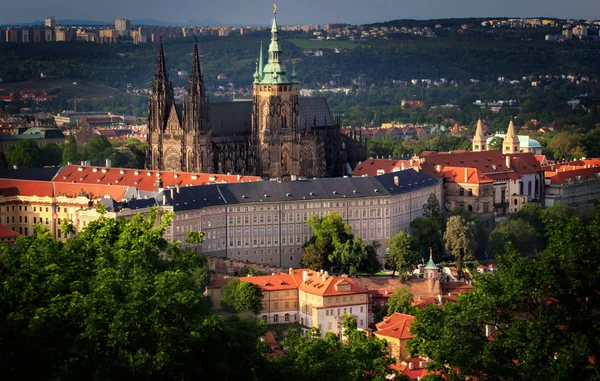 Szent vitus-székesegyház-Prága, Cseh Köztársaság — Stock Fotó