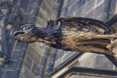 Gotik tarzı Gargoyle üzerinde St Vitus Katedrali Prag