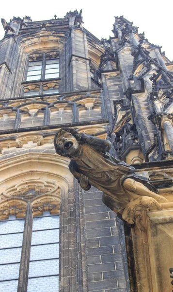 Gothic styl chrlič na St Vitus Cathedral Prague — Stock fotografie