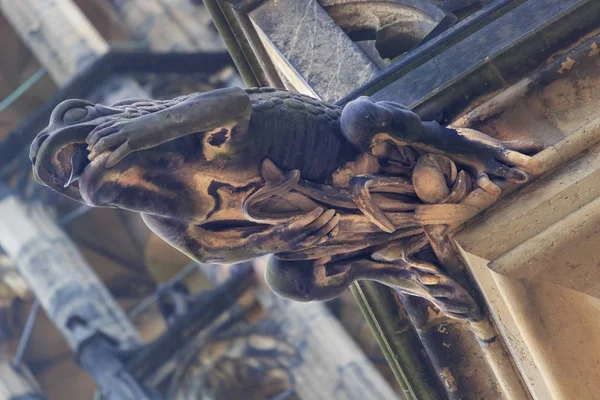 Gárgola de estilo gótico en la Catedral de San Vito Praga — Foto de Stock