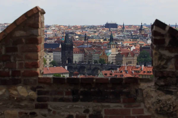 Prague in natural frame made from leaves - Czech Republic — Stock Photo, Image