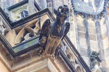Gotik tarzı Gargoyle üzerinde St Vitus Katedrali Prag