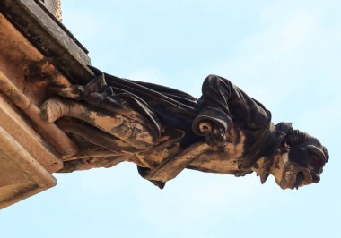 Gotik tarzı Gargoyle üzerinde St Vitus Katedrali Prag