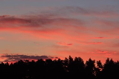 Arka plan için inanılmaz günbatımı gökyüzü. Canlı renkler