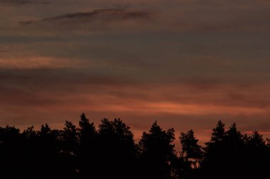 Arka plan için inanılmaz günbatımı gökyüzü. Canlı renkler