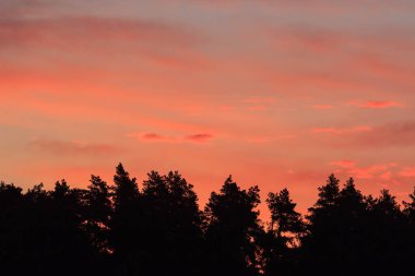 Arka plan için inanılmaz günbatımı gökyüzü. Canlı renkler