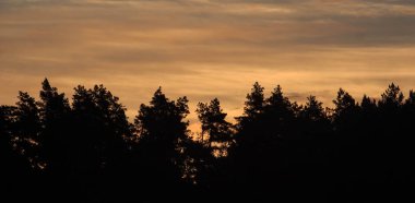 Arka plan için inanılmaz günbatımı gökyüzü. Canlı renkler