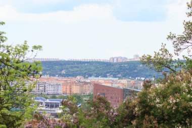 doğal çerçevesinde yapılan yapraklarından - Çek Cumhuriyeti Prag